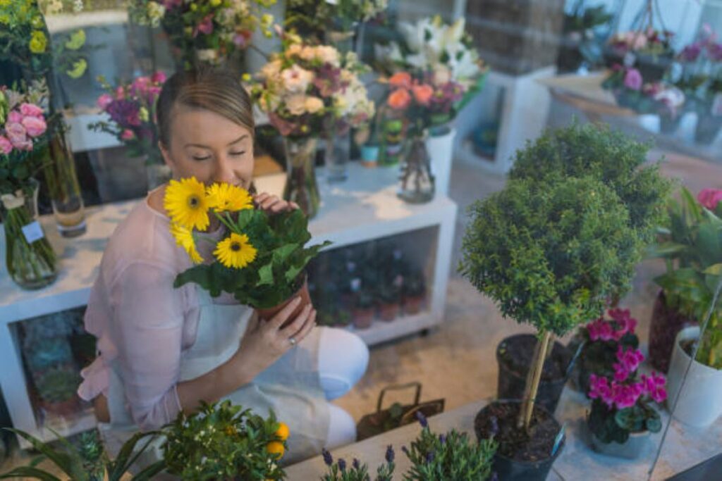 allambie heights florist