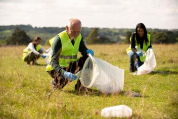 green waste removal cost